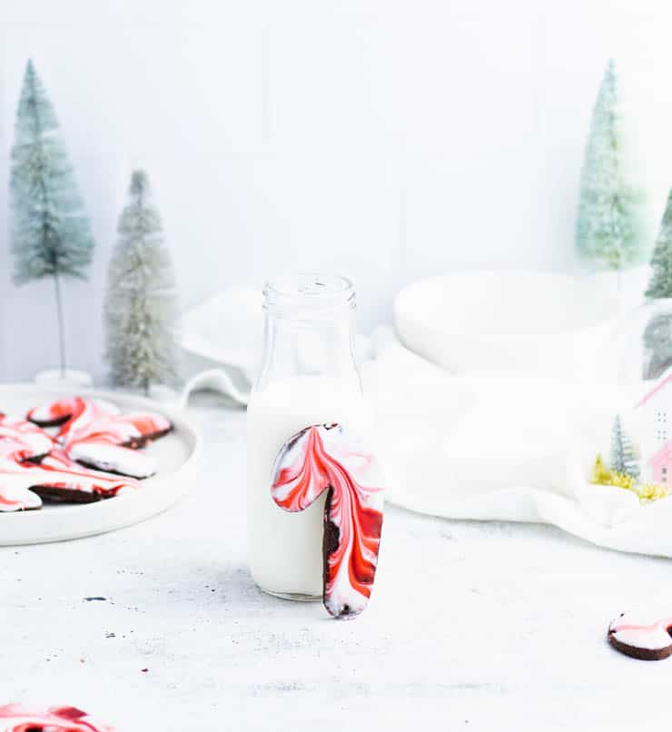 Red and white iced candy cane shaped chocolate sugar cookie standing up against a small bottle of milk with light green bristle brush tress, other cookies, a white bowl and a snow globe with a pink house in the background.