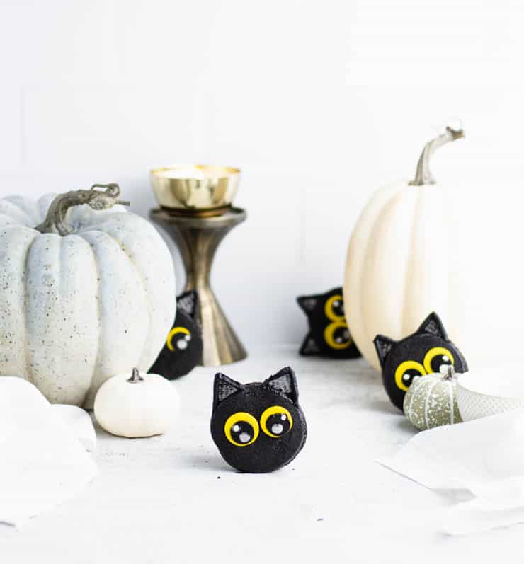 black cat cupcakes peaking out from behind white and light green pumpkins against a white backdrop.