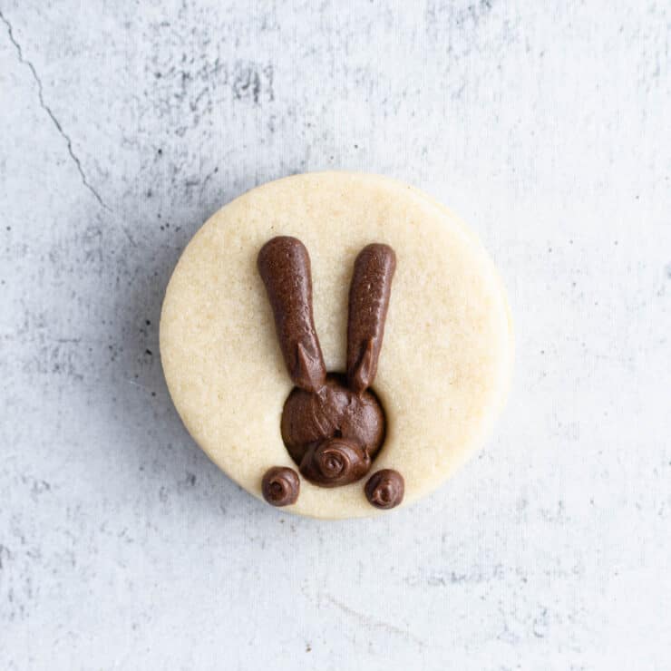 Overhead of a sugar cookie with a bunny piped onto it in chocolate frosting.