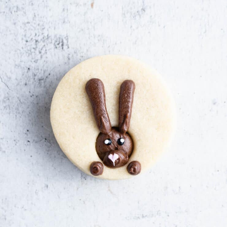 Overhead of a sugar cookie with a bunny piped onto it in chocolate frosting.